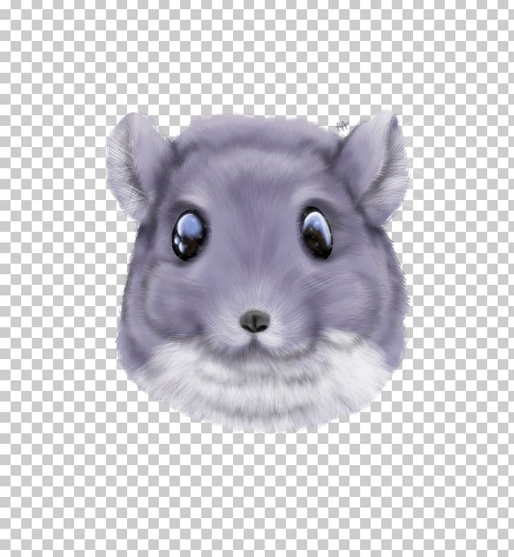 Gerbil Hamster Dormouse Whiskers PNG, Clipart, Animals, Change, Chinchilla, Dormouse, Fur Free PNG Download
