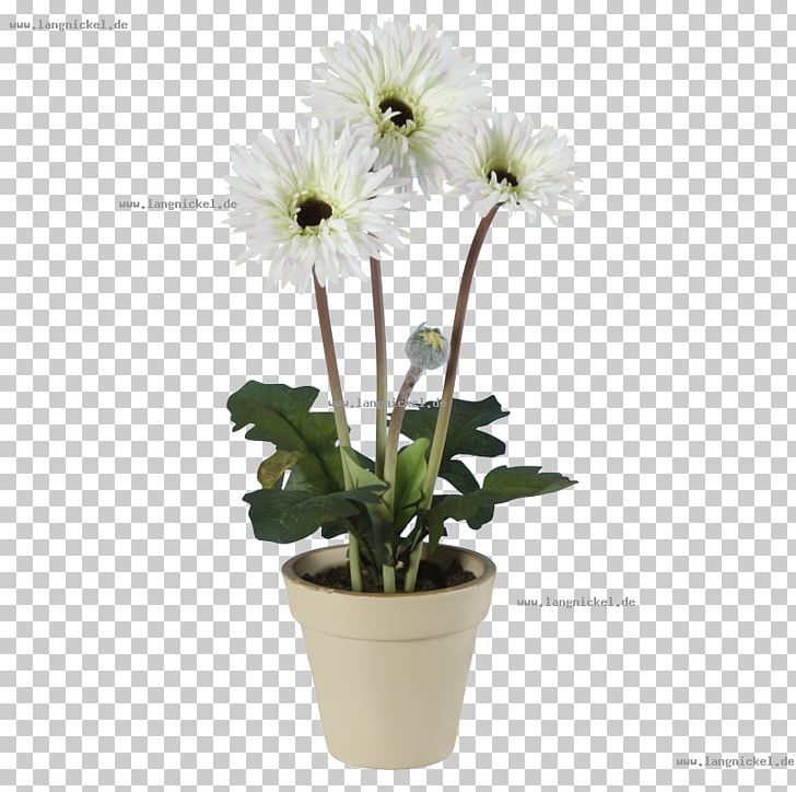 Transvaal Daisy Chrysanthemum Flowerpot Cut Flowers PNG, Clipart, Artificial Flower, Chrysanthemum, Chrysanths, Cut Flowers, Daisy Free PNG Download