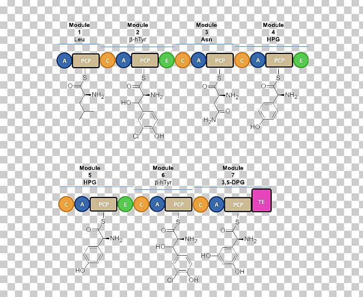 Vancomycin-resistant Enterococcus Nonribosomal Peptide Linezolid Pharmaceutical Drug PNG, Clipart, Angle, Antibiotics, Area, Bacteria, Benzylpenicillin Free PNG Download