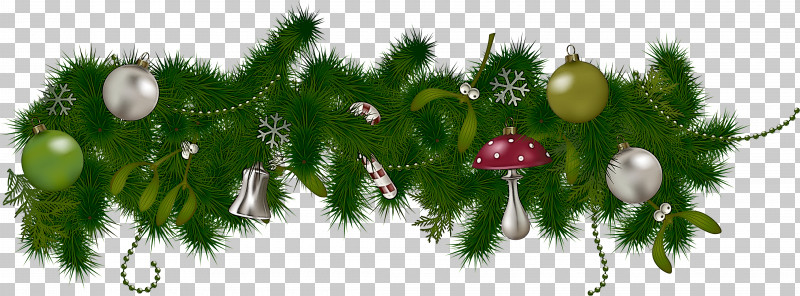 Christmas Decoration PNG, Clipart, American Larch, Branch, Christmas Decoration, Christmas Tree, Colorado Spruce Free PNG Download