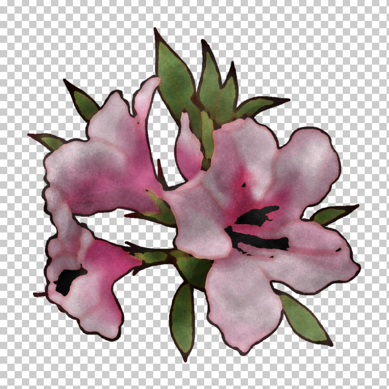 Floral Design PNG, Clipart, Azalea, Carnation, Cartoon, Floral Design, Flower Free PNG Download