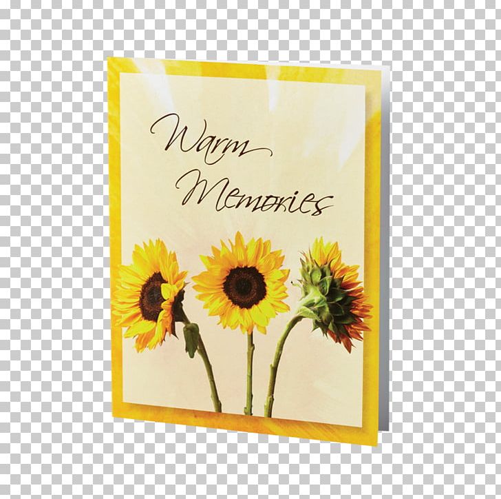 Common Sunflower Stock Photography Plant Stem PNG, Clipart, Common Sunflower, Daisy Family, Floral Design, Floristry, Flower Free PNG Download