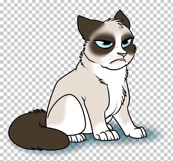 snowshoe cat grumpy