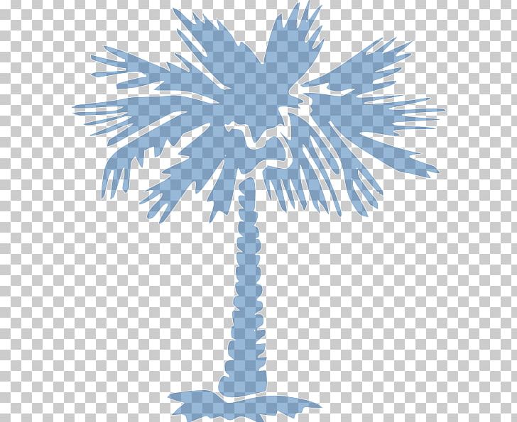 Palm Trees Sabal Palm Asian Palmyra Palm Graphics PNG, Clipart, Arecales, Asian Palmyra Palm, Attalea, Black And White, Borassus Free PNG Download