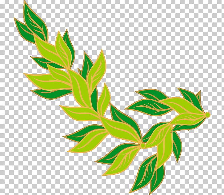 Bay Leaf Laurel Wreath PNG, Clipart, Art Green, Bay Laurel, Bay Leaf, Branch, Clip Art Free PNG Download