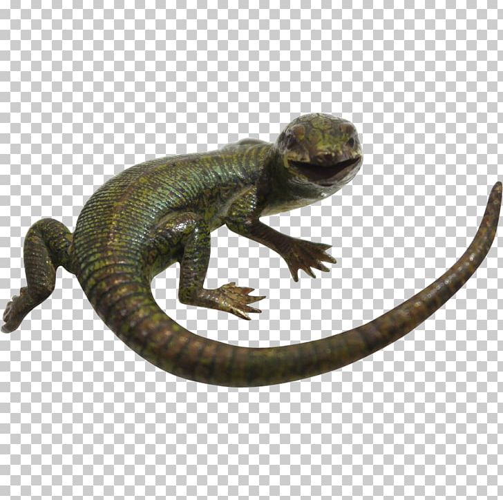 Lizard Common Iguanas Agama Reptile PNG, Clipart, Agama, Agamidae, Animals, Common Iguanas, Common Leopard Gecko Free PNG Download