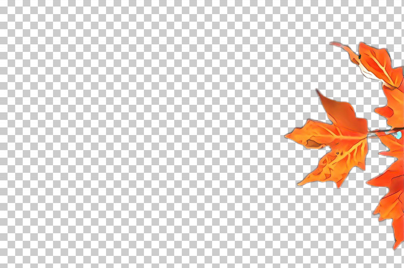 Maple Leaf PNG, Clipart, Autumn, Leaf, Maple, Maple Leaf, Orange Free PNG Download