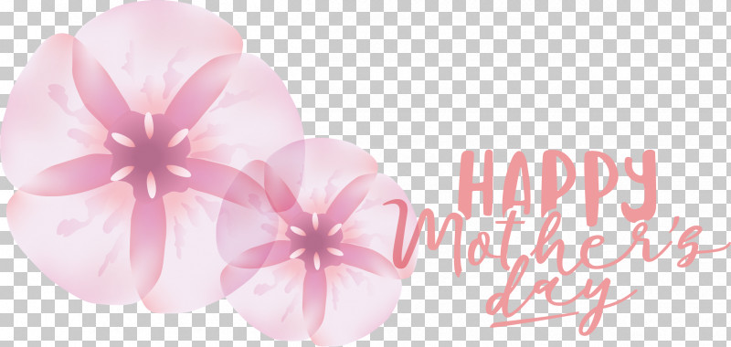 Cut Flowers Font Petal Flower Pink M PNG, Clipart, Cut Flowers, Flower, Meter, Petal, Pink M Free PNG Download