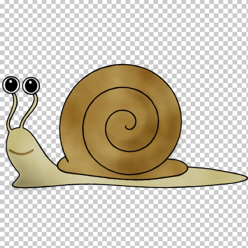 Gastropods Destination Gratte-ciel Snail Cartoon Slug PNG, Clipart, Biology, Cartoon, Gastropods, Mollusca, Paint Free PNG Download