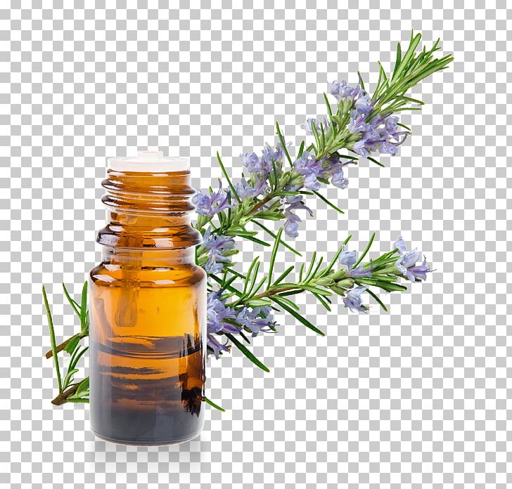 Herb Essential Oil Rosemary Extract PNG, Clipart, Alphapinene, Aroma Compound, Aromatherapy, Distillation, Essential Oil Free PNG Download