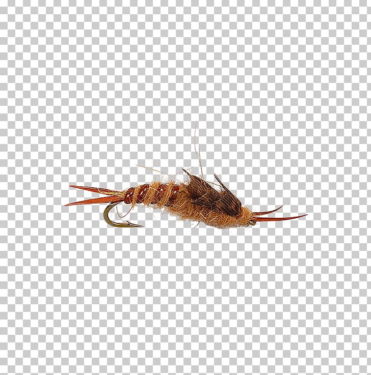 Insect Dry Fly Fishing Stoneflies PNG, Clipart, Animals, Arthropod, Blue, Dry Fly Fishing, Egg Free PNG Download