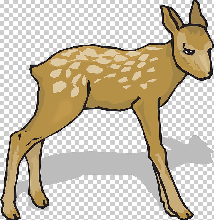 White-tailed Deer PNG, Clipart, Animal Figure, Animals, Antelope, Antler, Computer Icons Free PNG Download