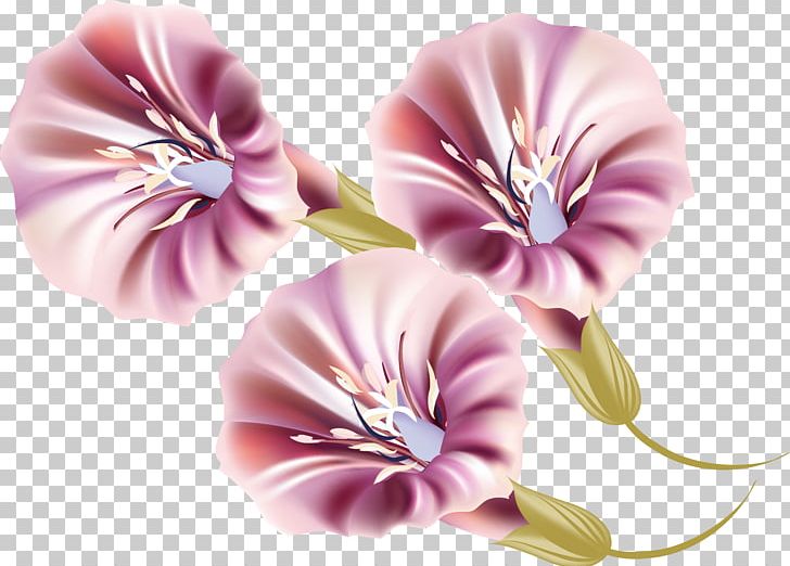 Ipomoea Nil Morning Glory PNG, Clipart, Cut Flowers, Designer, Download, Euclidean Vector, Flower Free PNG Download