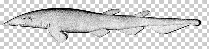 Deepwater Catshark Great Lanternshark Great White Shark Animal PNG, Clipart, Angle, Animal, Animal Figure, Apristurus, Black And White Free PNG Download