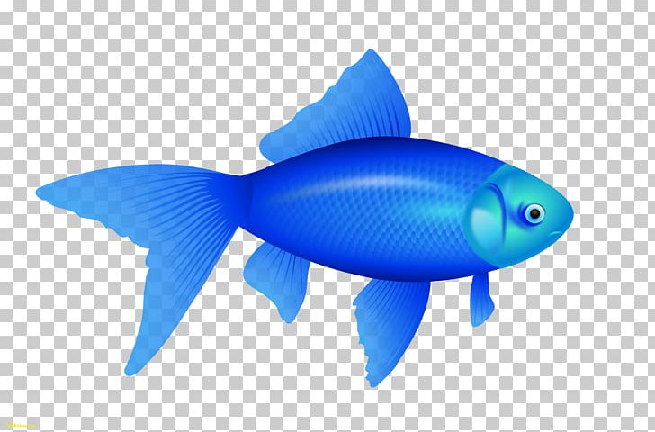 Fish PNG, Clipart, Adam7 Algorithm, Animals, Blue, Bluefish, Bony Fish Free PNG Download