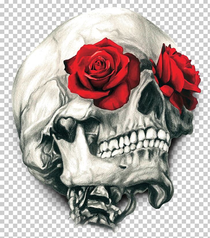 T-shirt Human Skull Symbolism Rose Calavera PNG, Clipart, Art, Bone, Clothing, Color, Cut Flowers Free PNG Download