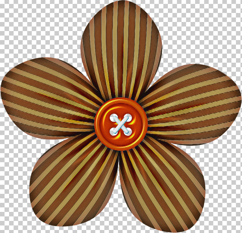 Orange PNG, Clipart, Flower, Orange, Petal, Plant, Symbol Free PNG Download