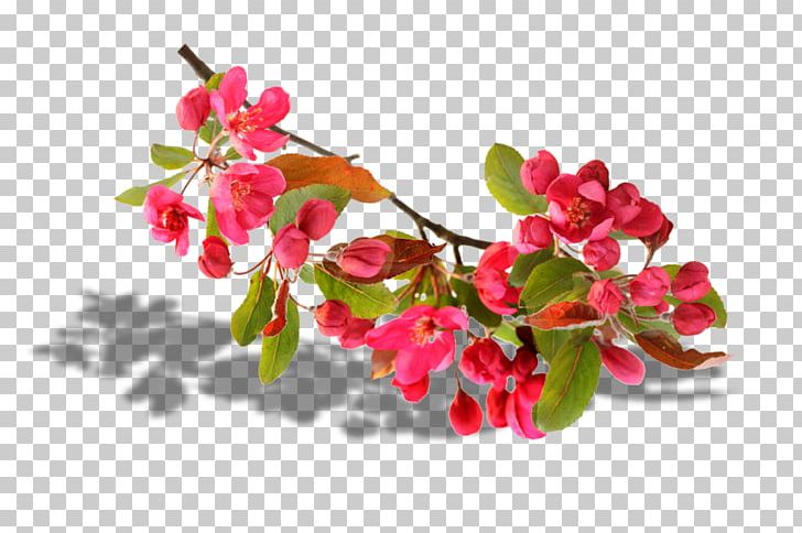 Ink Wash Painting Desktop Computer Graphics PNG, Clipart, 3d Computer Graphics, Blossom, Branch, Cherry Blossom, Cicekler Free PNG Download