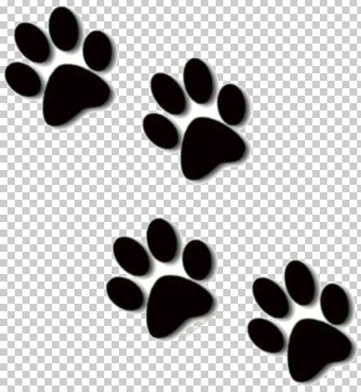 Lion Paw Cat Dog PNG, Clipart, Black, Black And White, Cat, Claw, Dog Free PNG Download