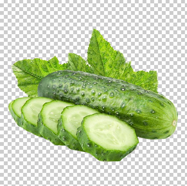 Pickled Cucumber Vegetable Fresh Fud Layn Fruit PNG, Clipart, Cartoon Cucumber, Cucumber, Cucumber Gourd And Melon Family, Cucumber Juice, Cucumber Mask Free PNG Download