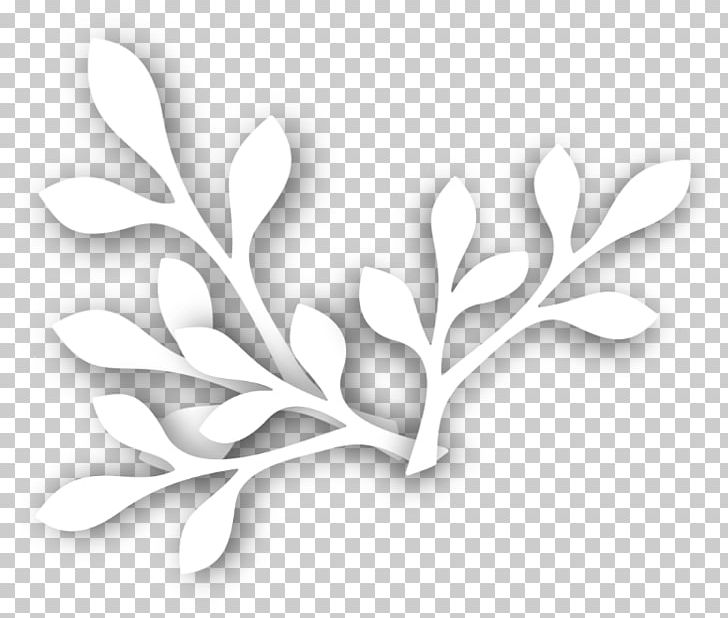 White PNG, Clipart, Art, Beyaz, Black And White, Branch, Cicek Free PNG Download