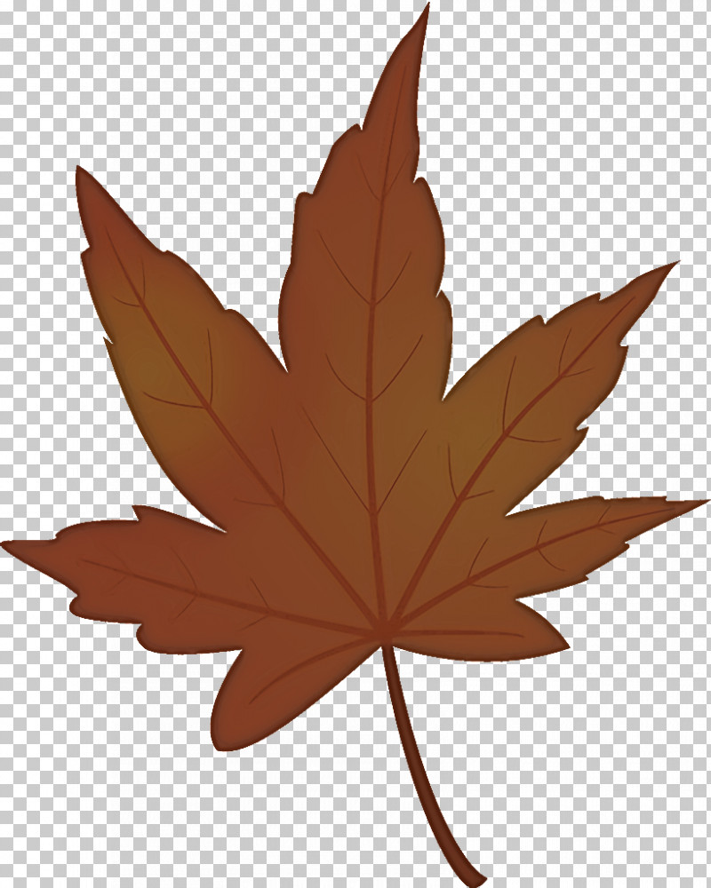 Maple Leaf Autumn Leaf Yellow Leaf PNG, Clipart, Autumn Leaf, Black Maple, Brown, Deciduous, Flower Free PNG Download