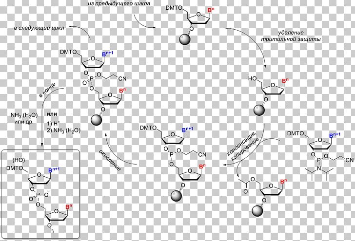 Oligonucleotide Synthesis Chemical Synthesis Chemical Reaction Chemistry PNG, Clipart, Angle, Area, Chemical Reaction, Chemistry, Dna Free PNG Download