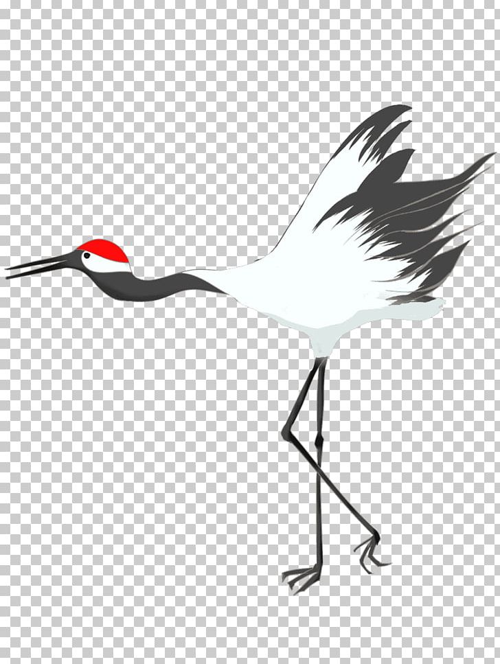 Water Bird Beak Wader Feather PNG, Clipart, Animals, Beak, Bird, Black And White, Crane Free PNG Download