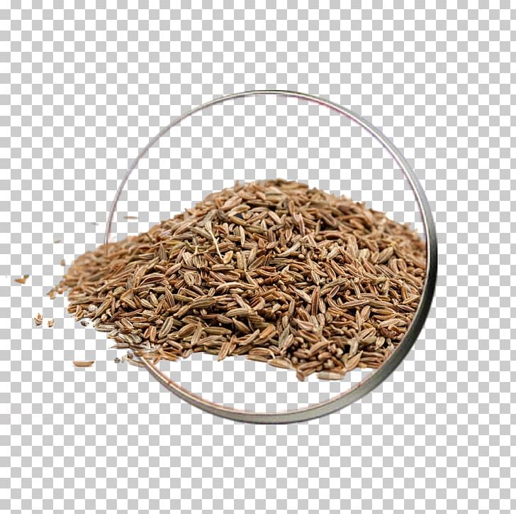 Cumin Indian Cuisine Caraway Coriander Spice PNG, Clipart, Ajwain, Caraway, Commodity, Coriander, Cumin Free PNG Download