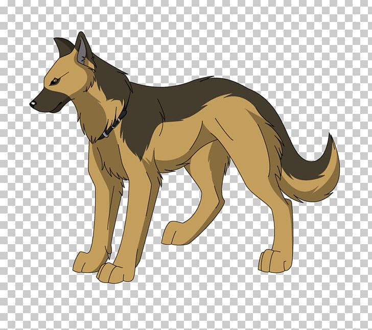 German Shepherd Puppy Golden Retriever Tervuren Belgian Shepherd PNG, Clipart, Ace The Bathound, Animal, Animals, Belgian Shepherd, Canidae Free PNG Download