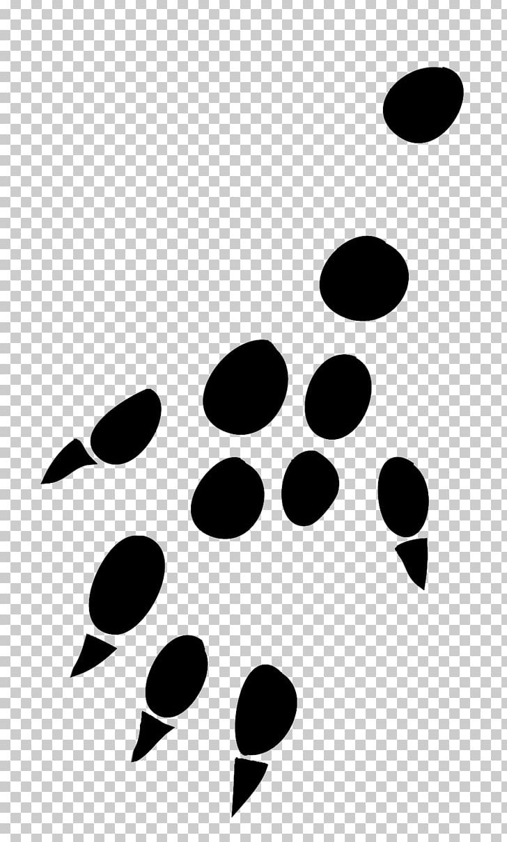 Hedgehog Paw Mouse Malinois Dog Rat PNG, Clipart, Animal, Animals, Animal Track, Black, Black And White Free PNG Download