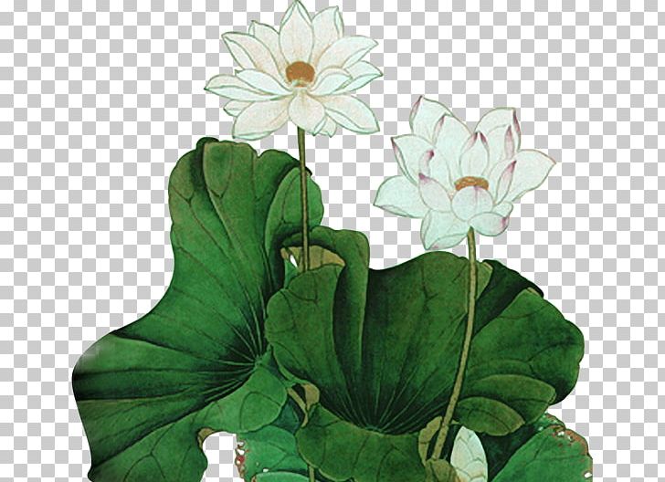 Chinese Painting Nelumbo Nucifera Ink Wash Painting Yixing Clay Teapot PNG, Clipart, Aquatic Plant, Autumn Leaf, Chinese Painting, Erhu, Flora Free PNG Download