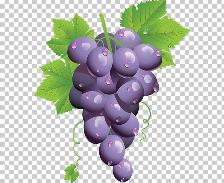 Common Grape Vine Grape Leaves PNG, Clipart, Animals, Bilberry, Boar, Common Grape Vine, Computer Icons Free PNG Download