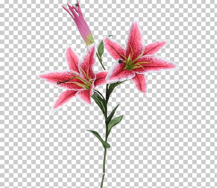 Lily 'Stargazer' Artificial Flower Easter Lily Flower Bouquet PNG, Clipart,  Free PNG Download