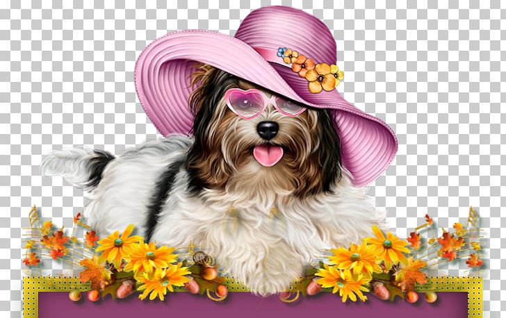 Puppy Yorkshire Terrier Poodle Cat PNG, Clipart, Animal, Animals, Cari, Carnivoran, Cat Free PNG Download