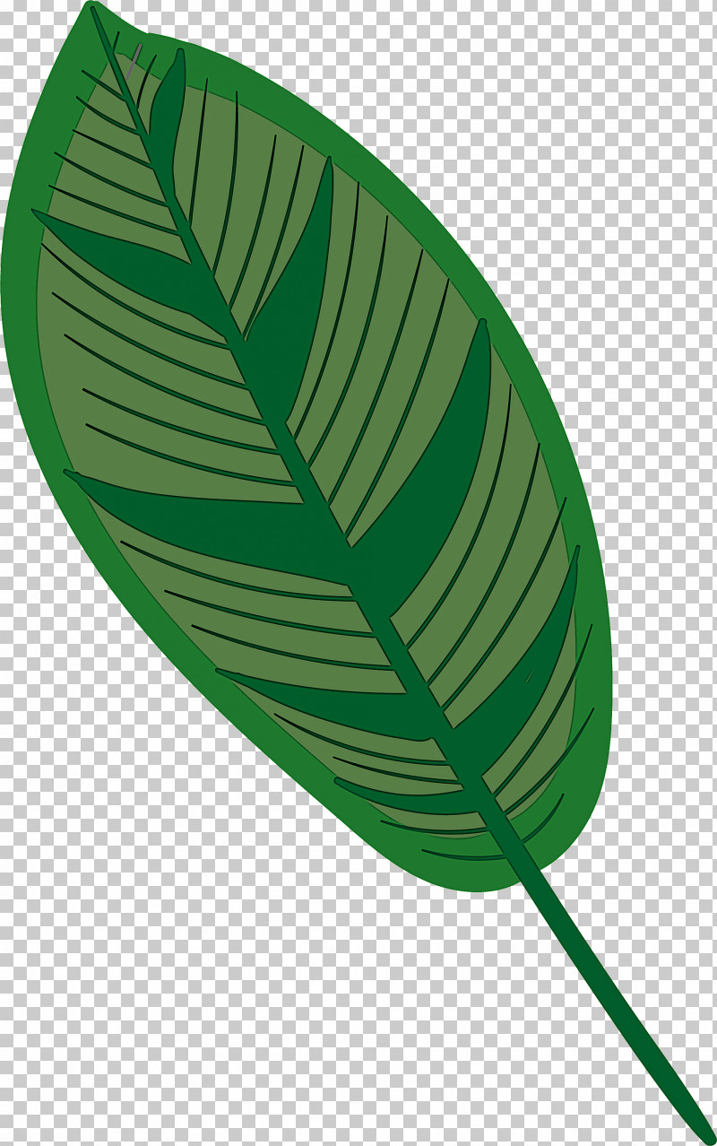 Leaf PNG, Clipart, Alocasia, Alocasia Odora, Common Ivy, Flower, Flower Garden Free PNG Download