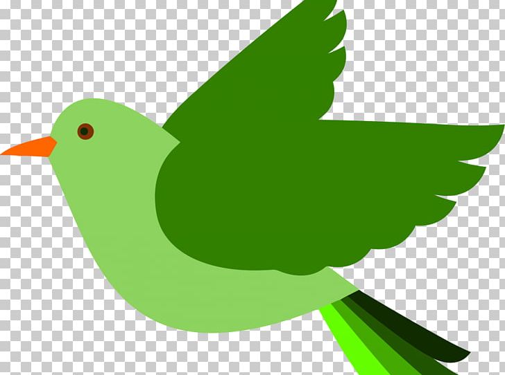 Bird PNG, Clipart, Animals, Beak, Bird, Bird Clipart, Computer Free PNG Download