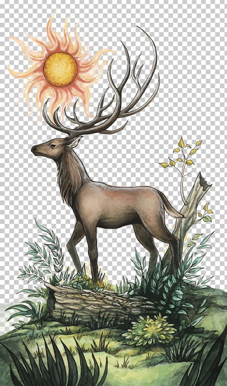 Deer And Sun PNG, Clipart, Antler, Cartoon, Christmas Deer, Color, Couch Free PNG Download