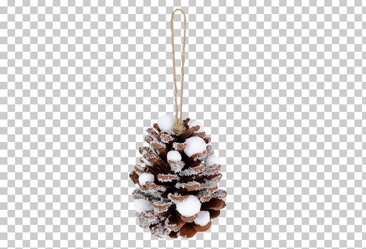 Pine Conifer Cone Christmas Ornament Fir PNG, Clipart, Cedar, Christmas, Christmas Decoration, Christmas Ornament, Christmas Tree Free PNG Download