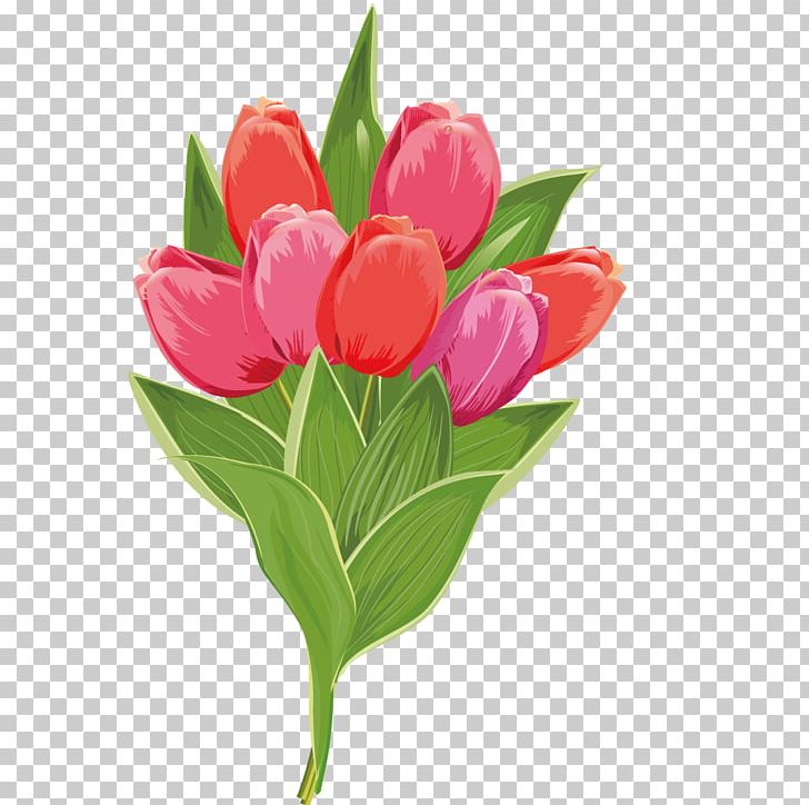 Tulip Stock Photography Pink Flower PNG, Clipart, Adobe Illustrator, Encapsulated Postscript, Flower, Flower Arranging, Flowers Free PNG Download
