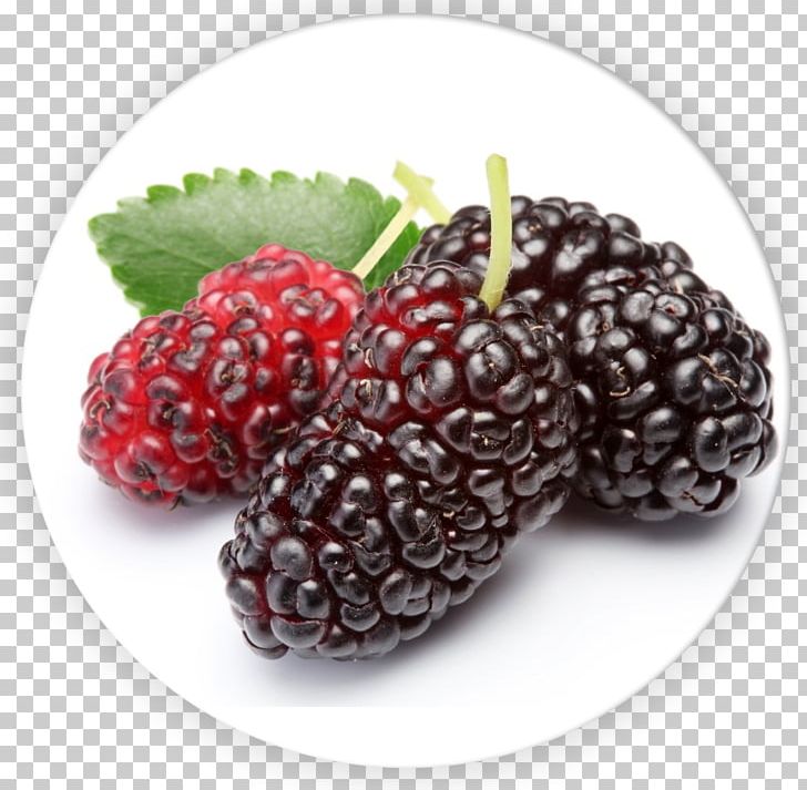 White Mulberry Extract Ingredient Food Fruit PNG, Clipart, Anthocyanin, Antioxidant, Berry, Dried Fruit, Frutti Di Bosco Free PNG Download