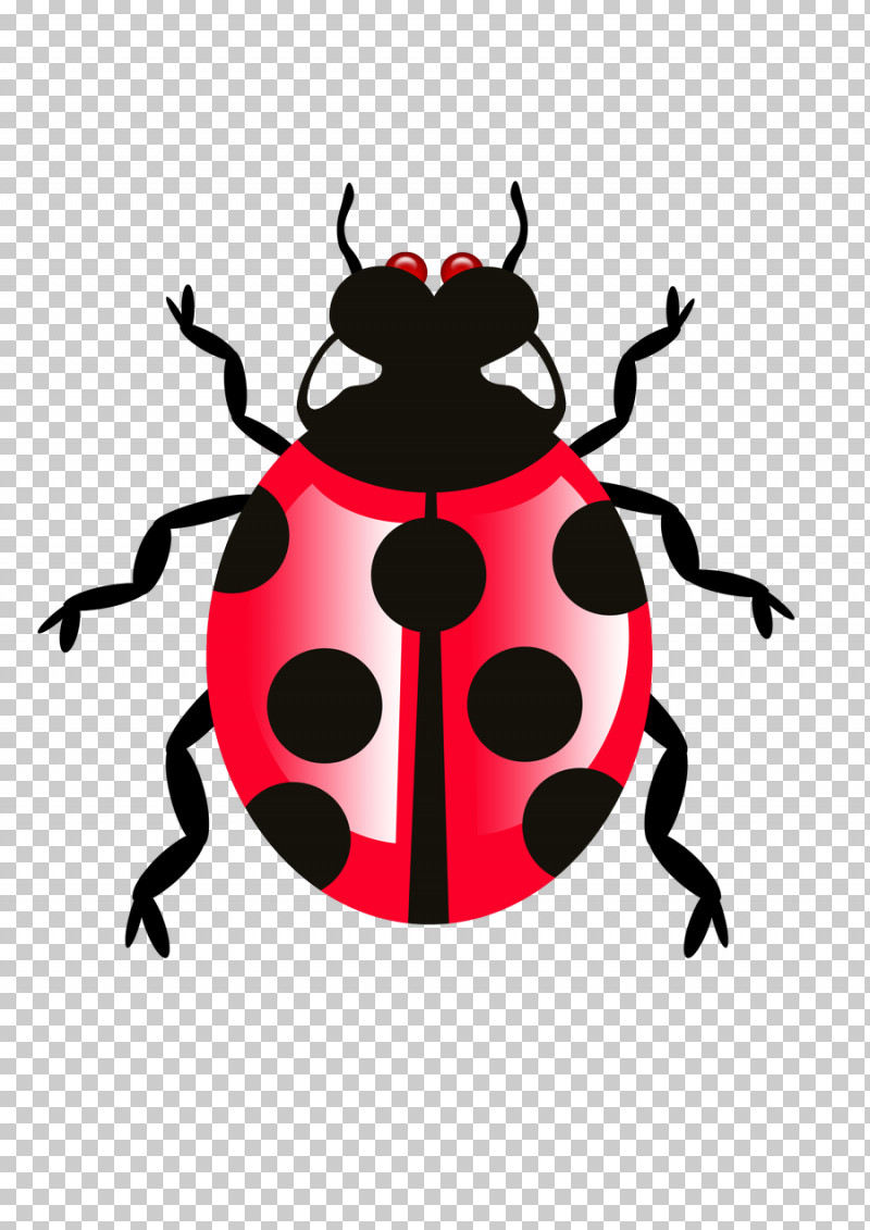 Insect Beetle Pest Weevil Darkling Beetles PNG, Clipart, Beetle, Darkling Beetles, Insect, Pest, Weevil Free PNG Download