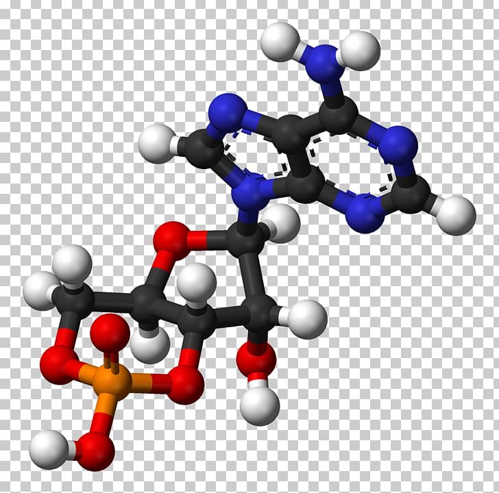 Cyclic Adenosine Monophosphate Ball-and-stick Model Adenosine Diphosphate PNG, Clipart,  Free PNG Download