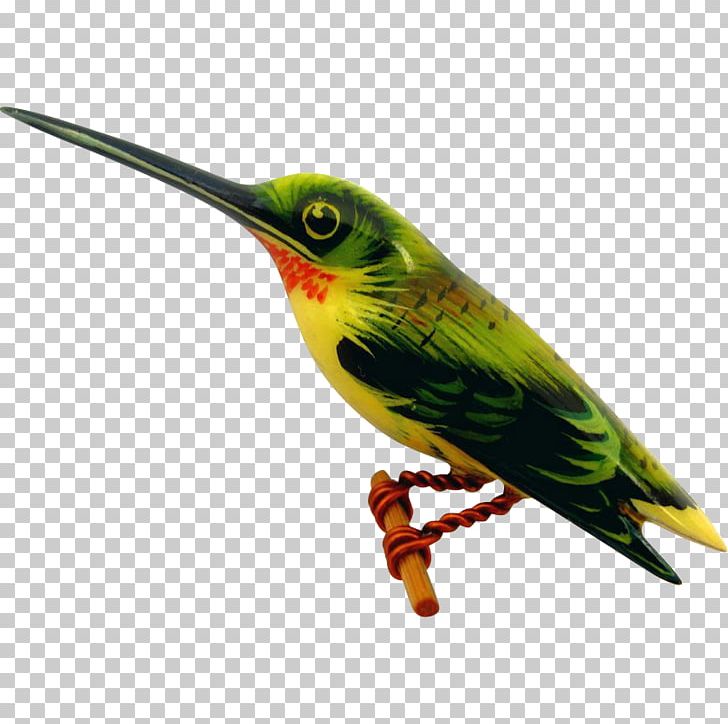 Ruby-throated Hummingbird PNG, Clipart, Annas Hummingbird, Archilochus, Beak, Biological Illustration, Bird Free PNG Download