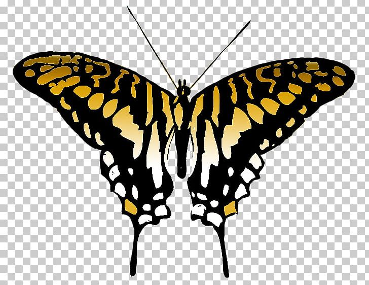 Swallowtail Butterfly Grey PNG, Clipart, Arthropod, Black And White, Brush Footed Butterfly, Butterfly, Color Free PNG Download