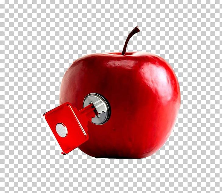 Apple Advertising Information PNG, Clipart, Adobe Illustrator, Advertising, Android, Apple, Apple Fruit Free PNG Download
