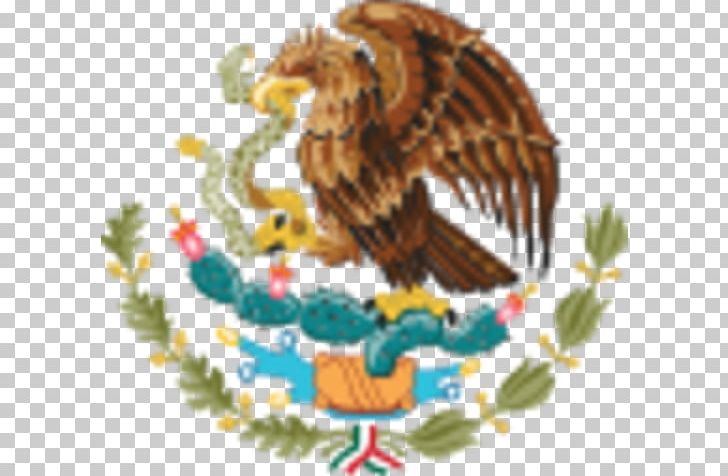 Coat Of Arms Of Mexico Flag Of Mexico Tenochtitlan PNG, Clipart, Art, Beak, Bird, Bird Of Prey, Coat Of Arms Free PNG Download