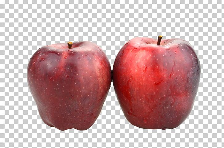 McIntosh Red Delicious Apple Fruit PNG, Clipart, Apple, Apple Fruit, Apple Logo, Apple Tree, Auglis Free PNG Download