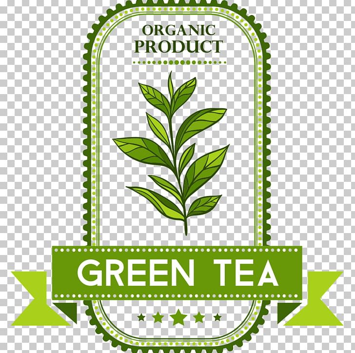 Green Tea Tea Culture PNG, Clipart, Background Green, Brand, Culture, Decorative, Decorative Tea Free PNG Download