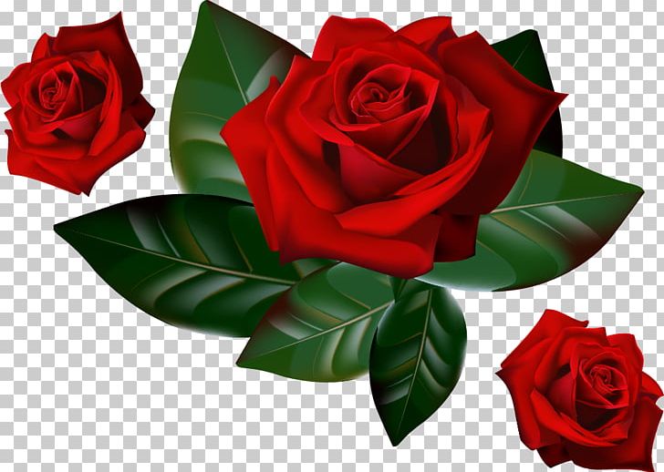 Rose Desktop PNG, Clipart, Cut Flowers, Desktop Wallpaper, Download, Floral Design, Floristry Free PNG Download